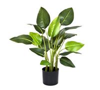 Greenbrokers Artificial Real Touch Bird Of Paradise (Strelitzia) Plant In Black Pot 78Cm/30In