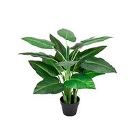 GreenBrokers Artificial Real Touch Calla Lily Tree in Pot 3ft/90cm