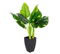 Greenbrokers Artificial Real Touch Pothos Plant In Black Pot(75Cm)