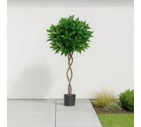 GreenBrokers Artificial Twisted Trunk Bay Laurel Tree With Real Wood Trunk, Natural Leaf And Brown Berries, 4Ft/120 Cm