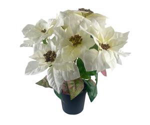 GreenBrokers Artificial White Poinsettia Christmas Flower Plant in Pot 46cm/18in