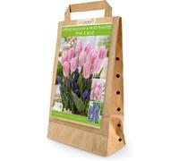 Greenbrokers Balcony And Patio Planter Bulb Mix 40 Pink & Blue Bulbs