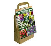 Greenbrokers Big Buy Mega Pack Dahlia Decorative Summer Flowering Bulbs, Mixed Colours (3 Bulbs) "bee & Butterfly Friendly"