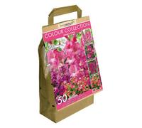 GreenBrokers Colour Collection Spring Flower Bulbs-Pink (50 Bulbs) Bee Friendly