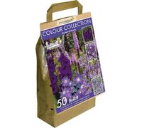 Greenbrokers Colour Collection Summer Flowering Bulbs Purple, Mixed Varieties (Pack Of 50) "bee & Butterfly Friendly"
