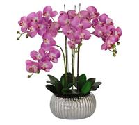 GreenBrokers Elegant Large Six Stem Butterfly Purple Real Touch Artificial Potted Orchid (65cm) In Decorative Silver Ceramic Pot