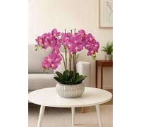 GreenBrokers Elegant Large Six Stem Butterfly Purple Real Touch Artificial Potted Orchid (65Cm) In Decorative Silver Ceramic Pot