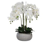 GreenBrokers Elegant Large Six Stem Butterfly White Real Touch Artificial Potted Orchid (65cm) In Decorative Silver Ceramic Pot