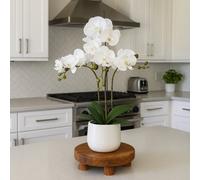 Greenbrokers Elegant Large Triple Stem White Real Touch Artificial Potted Orchid (65Cm) In Round White Ceramic Pot