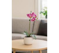 GreenBrokers Elegant Single Stem Purple Real Touch Artificial Potted Orchid (46Cm) In Round White Ceramic Pot