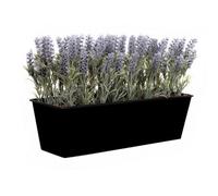 Greenbrokers Lavender Window Box Tin Trough Container Planter, Black, 45Cm