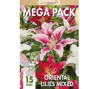 GreenBrokers Mega Pack - Oriental Lilies Mixed