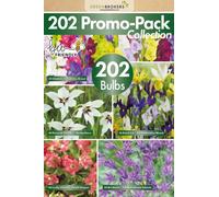 GreenBrokers Mixed Summer Flowering Bulbs 202 Bulbs In 5 Varieties Bee & Butterfly Friendly Eco Packaging Premium Quality
