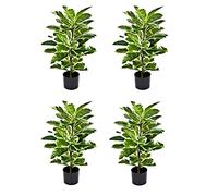 GreenBrokers Pack of 4 Artificial Real Touch Rubber Plant in Pot 75cm