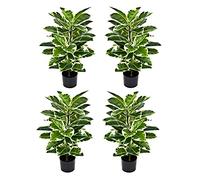 GreenBrokers Pack of 4 Artificial Real Touch Rubber Plant in Pot 98cm