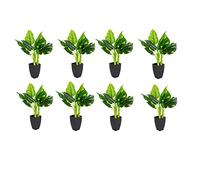 GreenBrokers Pack of 8 Artificial Real Touch Pothos Plant in Black Pot 75cm