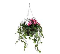 GreenBrokers Pansy with Ivy Vine in Hanging Basket (Anti-UV)(30cm diameter basket) Pink & White