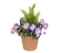 GreenBrokers Pink & Purple Petunia Terracotta Patio Planter 60Cm/24In