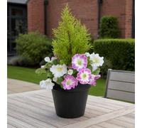 GreenBrokers Pink & White Petunia Black Patio Planter 60Cm/24In