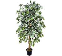 Greenbrokers Premium Artificial Variegated Ficus Tree 160 Cm Potted Plant