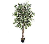 GreenBrokers Premium Artificial Variegated Ficus Tree 180 Cm Potted Plant