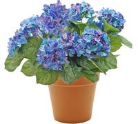 Greenbrokers Premium Quality Artificial Blue Hydrangea Flower Bush In Terracotta Coloured Pot (50Cm) With Nine Flower Clusters