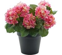 Greenbrokers Premium Quality Artificial Pink Hydrangea Flower Bush In Black Pot (50Cm) With Nine Flower Clusters