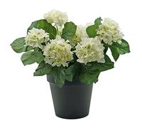 GreenBrokers Premium Quality Artificial White Hydrangea Flower Bush in Black Pot (50cm) with Nine Flower Clusters for Home or Outdoor Living