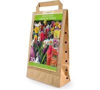 GreenBrokers Ratatouille Rainbow Tones 30 Spring Flower Bulbs Bee Friendly Premium Dutch Bulbs With Eco Friendly Packaging