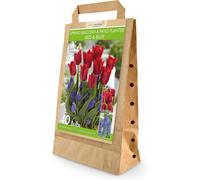 Greenbrokers Spring Balcony And Patio Planter Mix 40 Red & Blue Bulbs