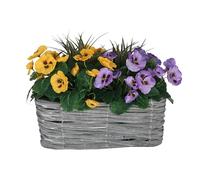 GreenBrokers Window Box, Silk, Purple & Yellow, 40cm