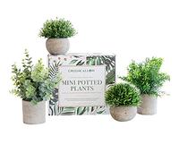 GreenCallow Artificial Plants for Home Decor Indoor. 4 Mini Plants, Rosemary Faux Plant Decor, Eucalyptus Plant, Grass Plants. Small Fake Shelf or Desk Greenery Décor
