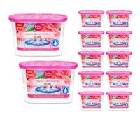 Greenfields 12 Pack Rose Interior Dehumidifier for Home - Moisture & Dampness Absorber, Mold & Mildew Prevention, Odor Eliminator for Bathrooms, Bedrooms, Kitchens, Basements