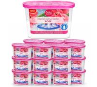 Greenfields 24 Pack Rose Interior Dehumidifier for Home - Moisture & Dampness Absorber, Mold & Mildew Prevention, Odor Eliminator for Bathrooms, Bedrooms, Kitchens, Basements