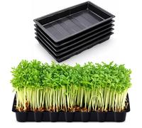 Greenfields 5 x Multipurpose Garden Seed Trays Without Holes, Durable Plastic Base Trays for Propagation, Germination, Potting & Transplanting, Leak Proof Plant Trays for Indoor & Outdoor Gardening