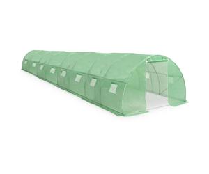 Greenhouse Cold Frame Tunnel Tomato Plant House Outdoor Greenhouse vidaXL