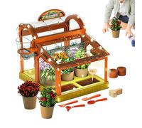 Greenhouse Growing Set Educational Toys