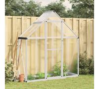 (silver, 169 x 58 x 195 cm) vidaXL Greenhouse with Base Frame Garden Walk in Plant Grow House Aluminium
