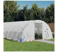 Greenhouse with Steel Frame White 24 m 6x4x2 m