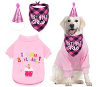 GreenJoy Dog Birthday Party Outfit Decoration Set Supplies - Birthday Bandana, Sweater & Party Hat Gift for Small, Medium & Extra Large Dogs Girl and Boy (X-Small, Birthday Pink)