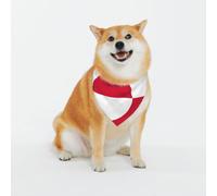 Greenland Flag Dog Bandanas-Washable Dog Kerchief for Small to Large Pet Scarf for Girl Or Boy, Pet Accessories