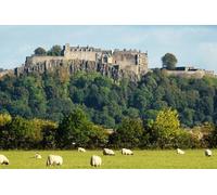 Greenock Ocean Terminal: Stirling Castle and Loch Lomond Day Tour