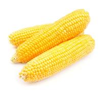 Greens Frozen Corn On The Cob | 24x2ear