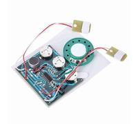 Greensen 27s Recordable Sound Module, Voice Recording Chip with Speaker Microphone Button for DIY Card Box Cake Flower Chocolate (Extension cord version)