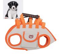 Greensen Dog Lift Harness, Comfy Breathable Oxford Pet Vest with Adjustable Leash, for Small Medium Dogs Walking Training (M)