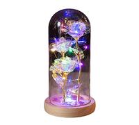 Greensen LED Rose Light, Warm and Soft Candle Lighting Effect Light with Artificial Rose Flower in Glass for Birthday, Christmas (11.5 x 9 x 21 cm)