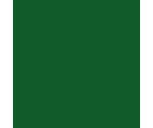 Greenskin Punch COLOR PUNCH 17 ml