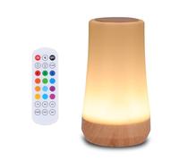 GREENTREEN Rechargeable Lamp Night Light for Adults: Remote Control Dimmable LED Light with RGB Color Changing - USB Rechargeable Portable Lamp for Bedroom Living Room Camping