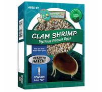 GreenWaterFarm Clam Shrimp Cyzicus Pilosus Eggs for Hatching and Culture Suitable to be Pet and Science Project (Pure 2,000 Eggs)