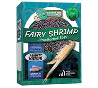 Greenwaterfarm Fairy Shrimp Sirindhornae Eggs Live Fish Food for Hatching and Culture, Suitable for Feed Betta Fish